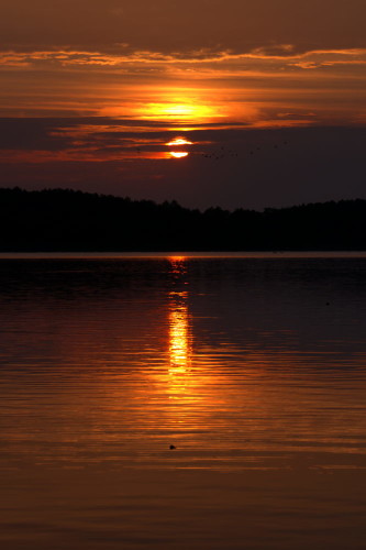 Das Foto zeigt einen Sonnenaufgang über einem See, die Sonne spiegelt sich im See und ist teilweise von Wolken verdeckt, durch die Wolken leuchtet es orange