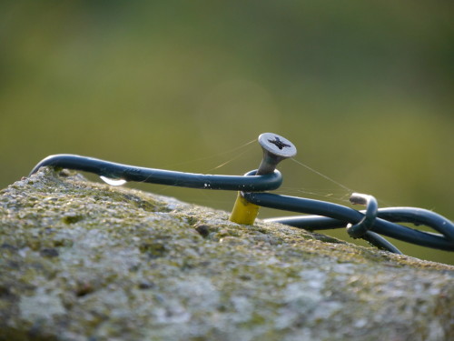 Das Bild zeigt eine Spax-Schraube, die in einem Dübel auf der Spitze eines Betonpfostens sitzt. Um die Schraube ist draht von einem Maschendrahtzaun gewickelt, am Draht ist auf der linken Seite ein Tropfen und über den Schraubenkopf sieht man die Fäden eines Spinnennetzes.