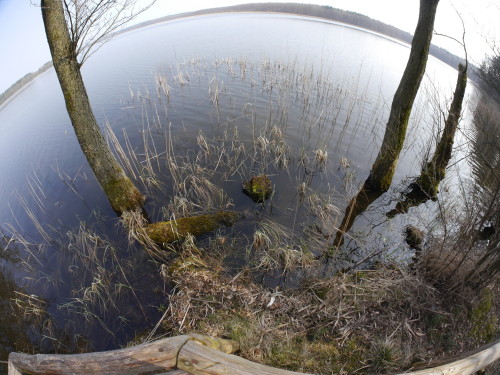 Das Foto zeigt einen See vom Ufer aus, aufgrund der Fischaugen-Brennweite ist der See verzerrt.