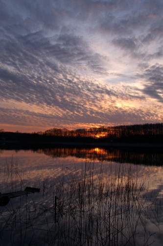 Das Bild zeigt einen Sonnenuntergang am Müritz-Arm, im Vordergrund ist Wasser, Schilf und auf der linken Seite ist ein Steg zu sehen. Etwa in der Bildmitte ist eine Baumreihe, hinter der gerade die Sonne versinkt. Oben ist der Himmel und Wolken