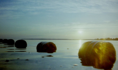 Das Bild zeigt die Sonne kurz vor Sonnenuntergang über einem ruhigen See, es ist eine Gegenlicht-Aufnahme. Im Wasser liegen runde Tonnen.