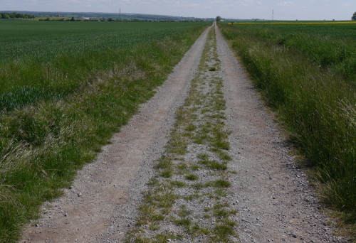 Das Bild zeigt einen Feldweg, der aus zwei festgefahrenen Spuren aus grobem Kies besteht, zwischen den Spuren kämpft sich das Gras durch den Kies. Der Weg führt geradeaus über einen Hügel in die Unendlichkeit des Bildes