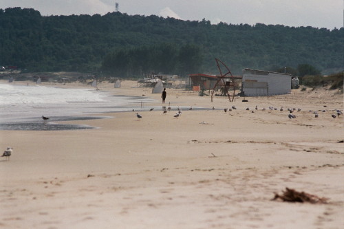 Das Bild zeigt einen fast leeren Sandstrand am Meer und vernagelte Hütten. Dazwischen sind Möwen.