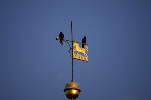 Das Bild zeigt zwei Vögel, die auf dem Windanzeiger einer Kirchturmspitze stehen. In der Windfahne sieht man ein Pferd und die Jahreszahl 1904