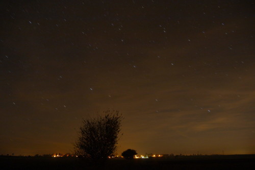 Das Foto zeigt eine Nachtaufnahme, man sieht hinten das beleuchtete dorf und darüber den Sternenhimmel, die Sterne sind schon kurze Striche durch die lange Belichtung. Im Bild sieht man außerdem zwei große Büsche.