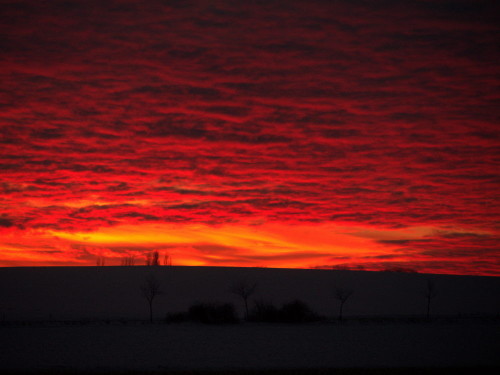 Das Foto zeigt den Sonnenuntergang in einer Winterlandschaft, die Sonne ist schon untergegangen und der Himmel leuchtet intensiv in Orange.