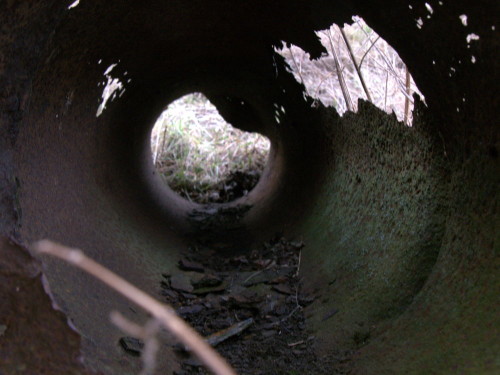 Das Foto zeigt das innere eines uralten, verrotteten und teilweise durchgebrochenen Rohrs