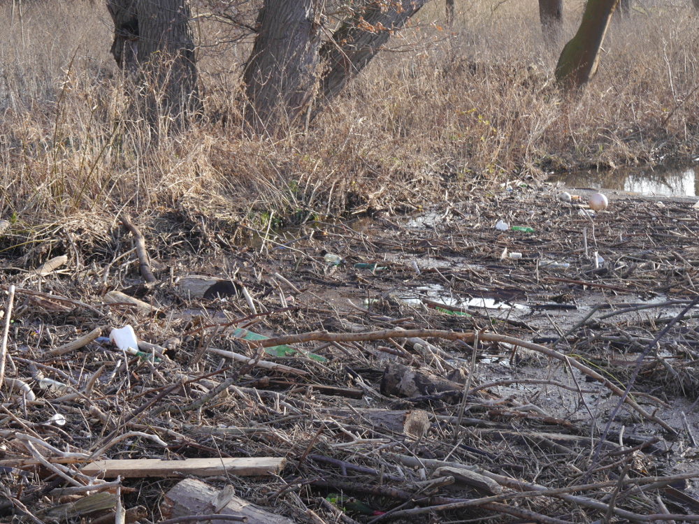 Das Foto zeigt Treibgut an einem Wehr, zwischen Ästen und anderem natürlichen Material sieht man leere Flaschen, Kanister und sonstiger Müll sowie einen Autoreifen