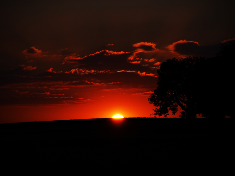 Das Foto zeigt einen Sonnenuntergang, nur noch ein kleiner Teil der Sonne ist sichtbar, rechts steht ein Baum
