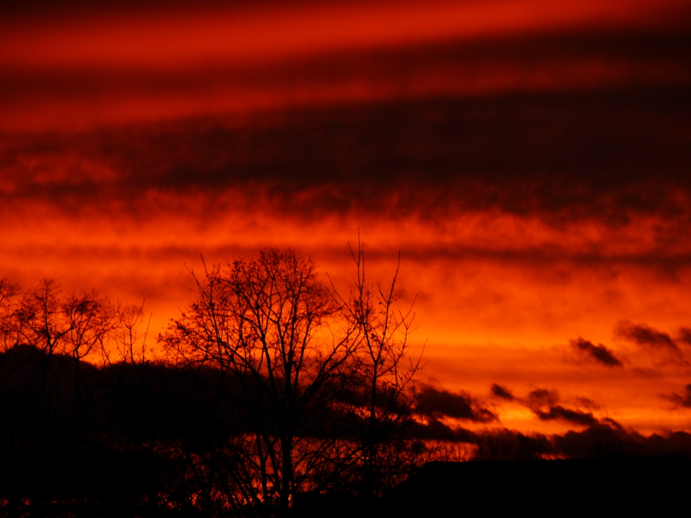 Das Foto zeigt einen dramatischen Sonnenaufgang, der Himmel und die Wolken ist Organe gefärbt, wobei die WOlken für dunkele Streifen/Stellen sorgen. Man sieht als Silouette im Vordergrund Bäume.