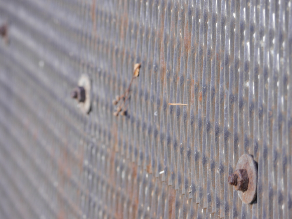 Ein Blick auf das Gitter vom Grenzzaun, man sieht zwei der Befästigungsschrauben, die verrostet sind. Ein Gras hängt im Gitter.