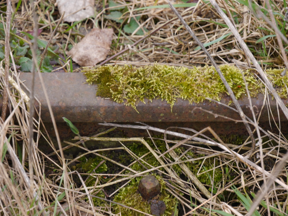 Ein Stück einer alten, verrosteten und überwucherten Eisenahnschiene, die schon mit Moos bewachsen ist.