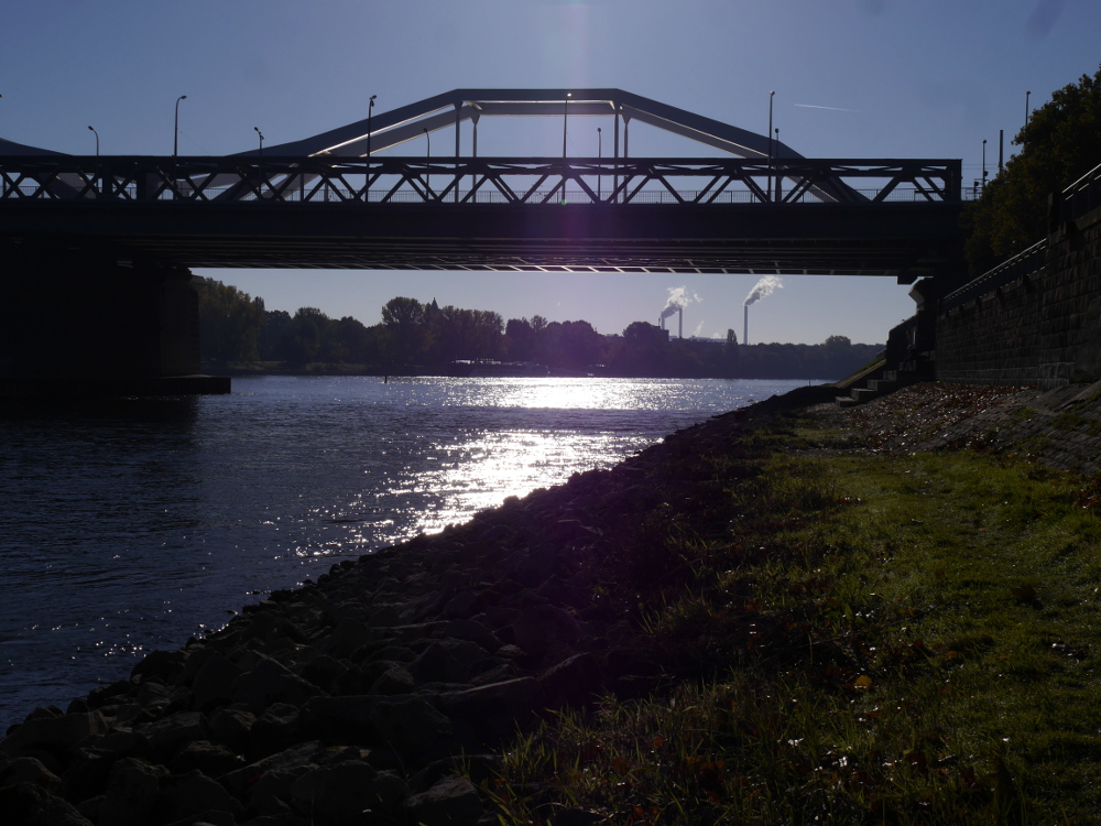 Das Foto zeigt eine Brücke über den Rhein. Das Bild ist von weit unten entstanden, man kann unter der Brücke durchsehen und sieht dahinter die Silouetten von Bäumen und Industriebetrieben. Etwa in der Mitte des Brückenbogens steht über dem Foto die Sonne und man sieht das als hell erleuchteter Streifen im Wasser des Rheins. Durch das Licht ist auch ein Teil der Brücke hell erleuchtet, was fast mystisch aussieht.