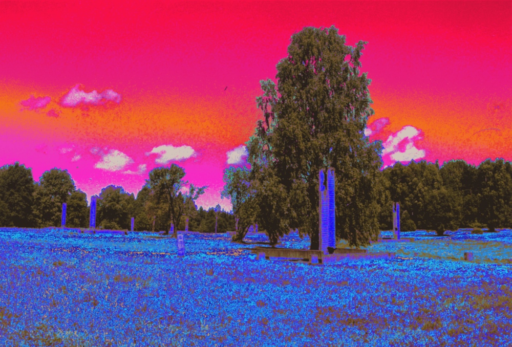 Das Foto ist abstrak-skuril eingefärbt, es zeigt blau eingefärbte "Schornsteine" über blauem Rasen, die Bäume sind braun-grün und darüber ist ein unnatürlich rot-violetter Himmel. Die Schonsteine sind Reste von kleinen Häusern, die dort standen und im 2. Weltkrieg niederbegrannt wurden. Die Schornsteine wurden als Denkmal wieder aufgebaut.