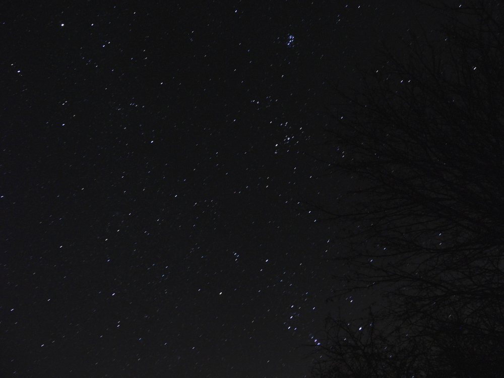 Das Foto zeigt einen Ausschnitt des Sternenhimmels, rechts kann man ds dunkele Geäst eines Baums erkennen. Der Mond ist nicht zu sehen und die Sterne haben durch die lange Belichtungszeit Stricke hinterlassen