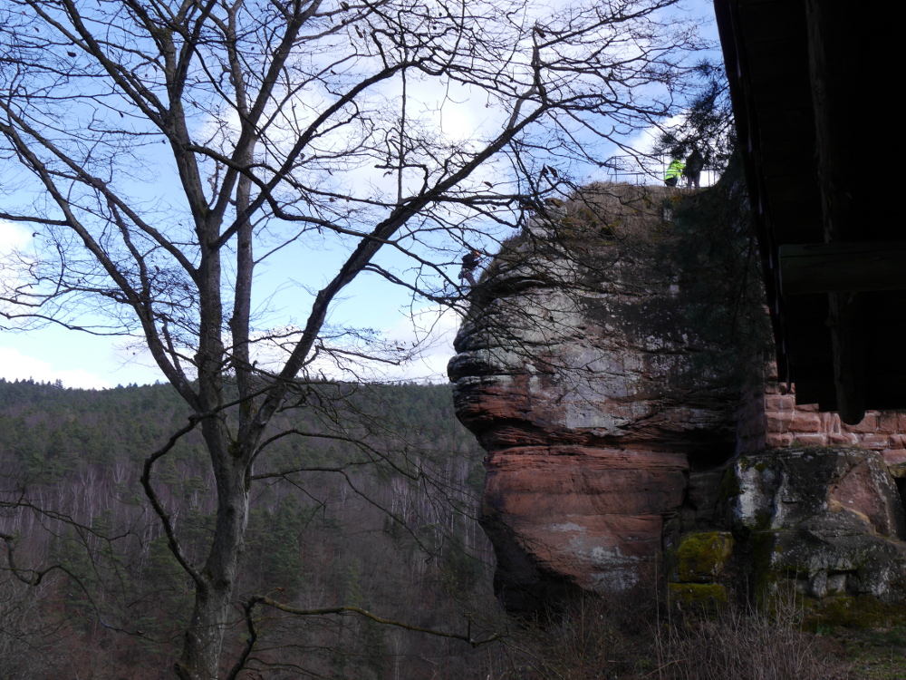 Dsa Foto zeigt einen Felsen, an dem Felsen seilt sich ein Bergsteiger ab und oben stehen zwei Menschen. Im Hintergrund sieht man einen kahlen Wald, im Vordergrund einen kahlen Baum.