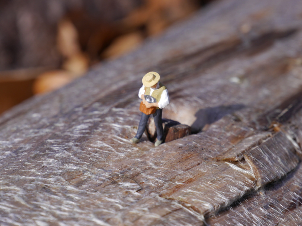 Das Foto zeigt eine Modellbahn-Figur auf einem Baumstam. Die Modellbahnfigur ist als Passant oder Spaziergänger gekleidet, trägt einen Strohhut, Jeans und Weste und schaut gerade in eine Umhängetasche, als würde sie etwas suchen.