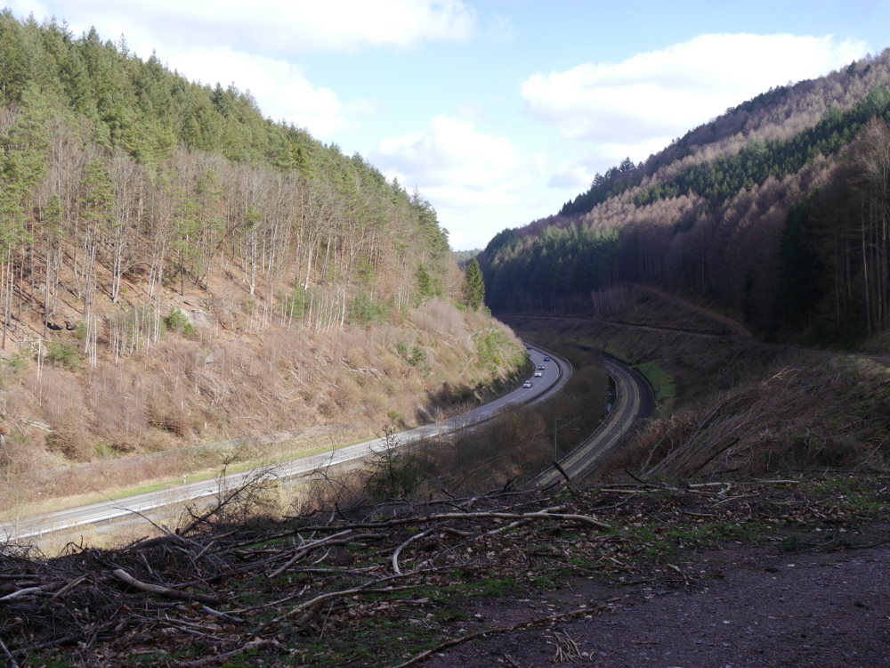 Das Foto zeigt eine Landschaftsaufnahme. Im Tal ist mit einem großen Bogen nach Links eine Straße und daneben eine Bahnstrecke, Links und rechts sind bealdete Berghänge.