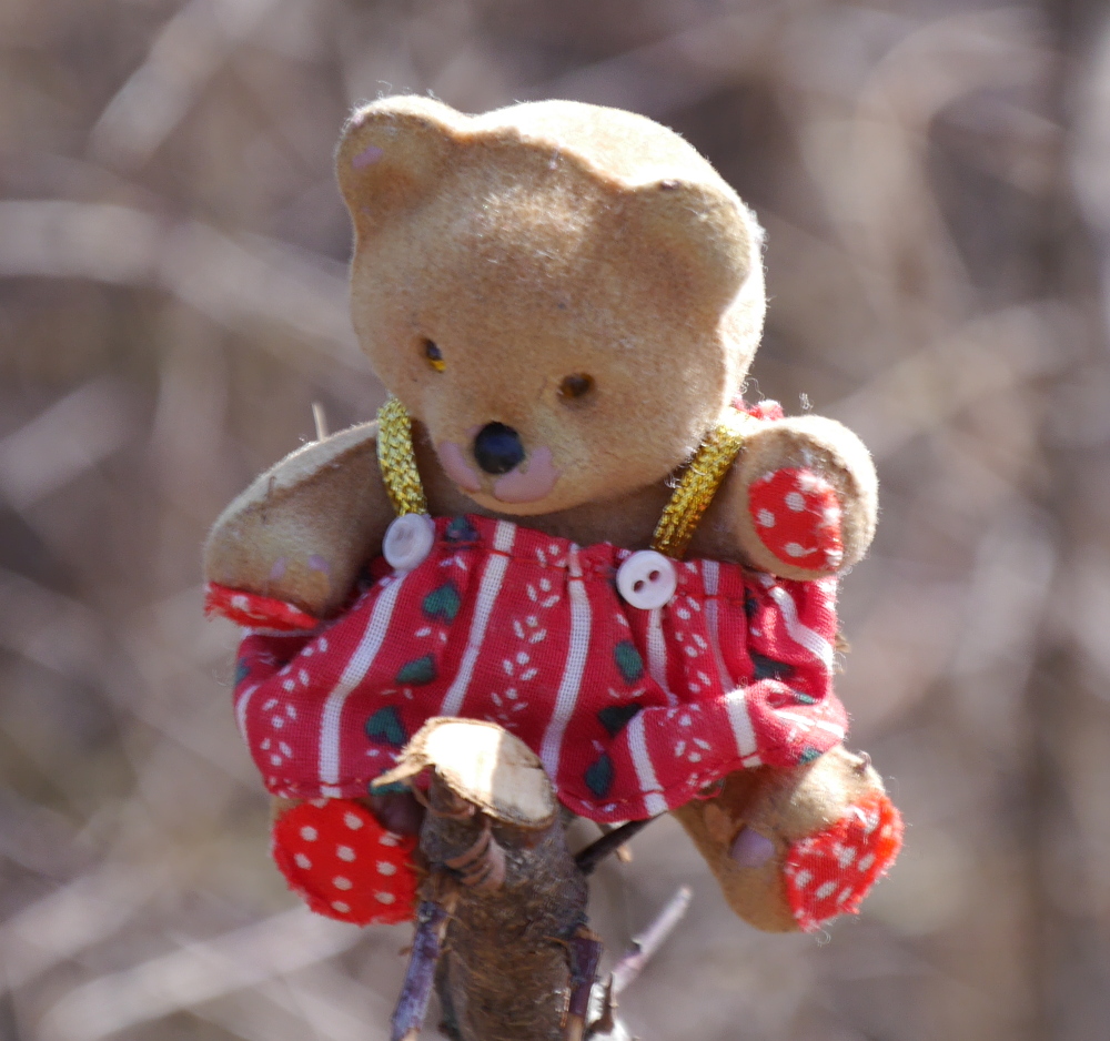 Das Foto zeigt einen kleinen Teddybären, der auf einem Stock sitzt, der ihn von unten stützt. Der Teddybär trägt eine Art Schürzte aus rotem Stoff mit weißen Streifen und verzierungen und Trägern aus goldenem Stoff, die zu kleinen Knöpfen führen. Die Pften des Bärens haben rote Stoff-flecken mit weißen Punkten drauf. Das sieht alles sehr süß aus.