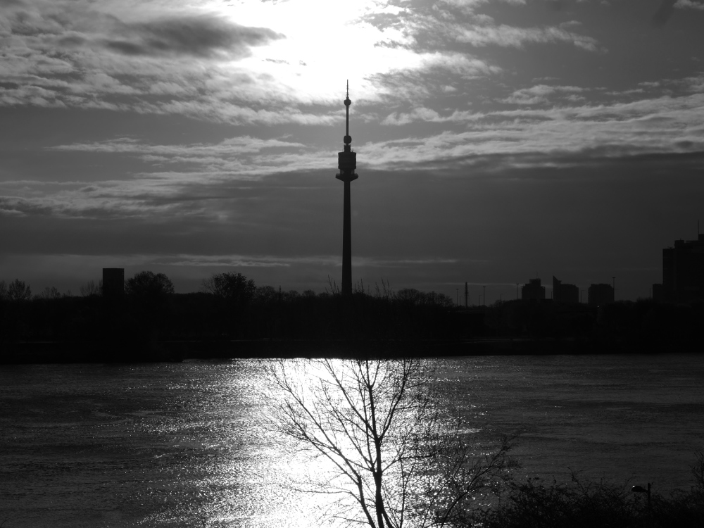 Das Foto ist eine s/w-Landschaftsaufnahme. Man sieht den Fernsehturm in Wien und die Donau, etwa über dem Fernsehturm steht die Sonne. Die Aufnahme ist gegen die Sonne fotografiert und man sieht das Licht der Sonne als recht breiten Streifen auf der Donau, im Vordergrund etwas Gestrüp. Im Hintergrund die Silouette der stadtätischen Bebauuung.