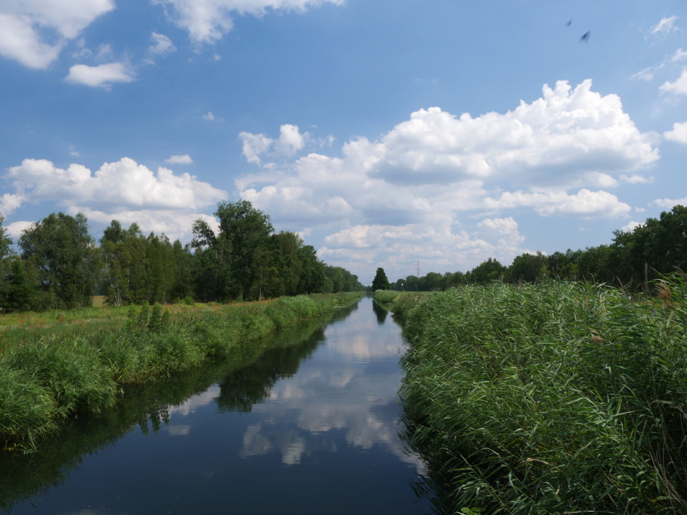 Eine Landschaftsaufnahme im Spreewald. etwa Mittig geht durch das Bild ein ziemlich gerader Kanal, rechts und Links davon ist Bewuchs mit Bäumen, darüber der blaue Himmel mit weißen Wolken, welche sich auf der Oberfläche des Kanals spiegeln.