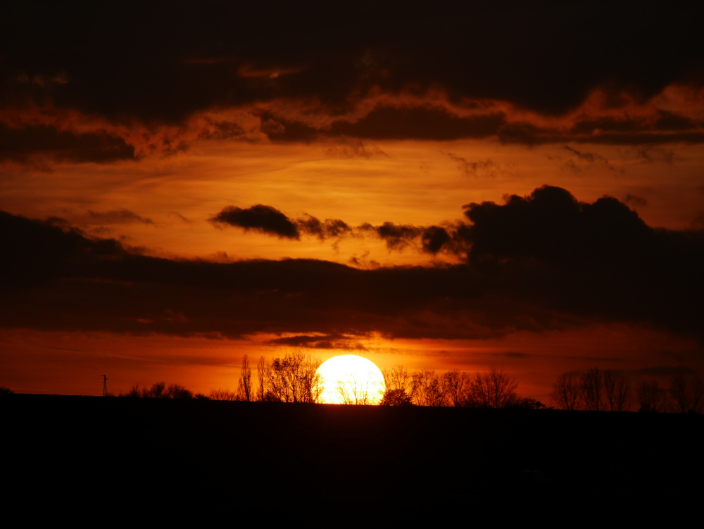 Das Foto zeigt einen dramatischen Sonnenuntergang, die Sonne ist schon zu ca. 1/4 unter dem Horizont verschwunden, vor der Sonne sieht man die Silouette von Bäumen und Büschen, darüber Wolken und der Himmel ist dramatisch orange-rot gefärbt.