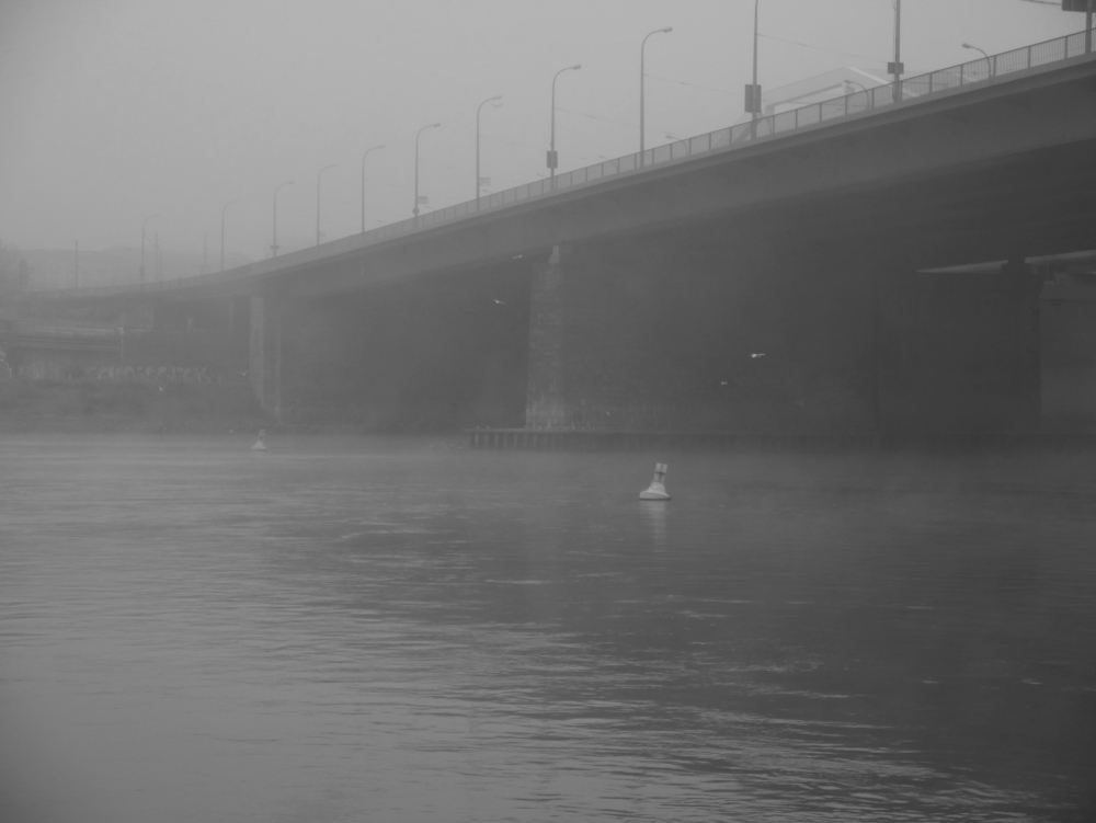 Das Foto zeigt eine s/w-Aufnahme vom Rhein an der Konrad-Adenauer-Brücke in Ludwigshafen, oben ist die Brücke, unten das Wasseer und die Bojen. Man kann Nebelschwafen erkennen und einige Möwen fliegen durchs Bild.