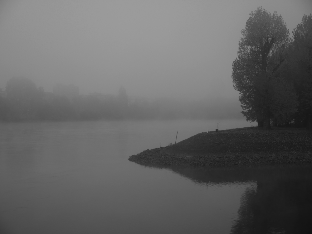 Das s/w-Foto zeigt die Spitze der Rheininsel in Ludwigshafen, man kann ein paar Bäume erkenne, den Rhein und das andere Rheinufer versinkt im Nebel.