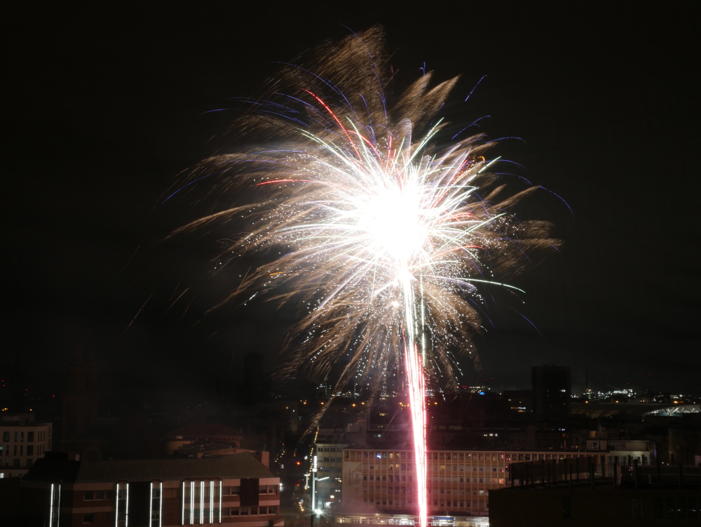 Das Foto zeigt explodierendes Feuerwerk über der Stadt Ludwigshafen.