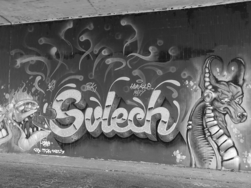 Das s/w-Foto zeigt ein Graffiti auf einer Betonwand. In der Mitte steht "Svlech", rechts ist eine Art Drache, der teilweise wie ein Röntgenbild seine Wirbelsäule zeigt, links ein Commic-Fisch mit aufgerissenem Kopf.