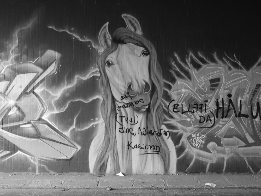 Das s/w-Foto zeigt eine Graffit-Pferd mit hellem Fell. Leider wurden auf ds Graffiti mit schwarzer Farbe irgendwelche nicht dazu gehörende Wörter geschmiert, die offenkundig auch nicht deutsch sind.