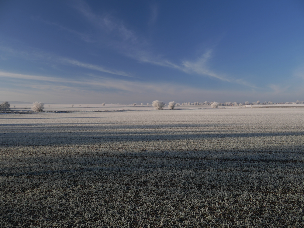 Das Foto zeigt eine winterliche Landschaftsaufnahme und strahlend blauem Himmel, die weiten Felder und die vereinzelten Bäume sind mit Reif überzogen, hinten ist ein Dorf und viele Bäume erkennbar.