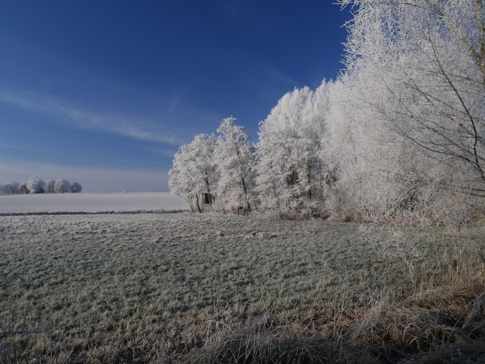 Ds Foto zeigt eine winterliche Landschaftsaufnahme unter strahlend blauemn Himmel, man sieht Bäume und einen Feldrand, dahinter mehr Felder. Am Feldrand unter dem Bäumen steht ein Hochsitz für die Jagd.