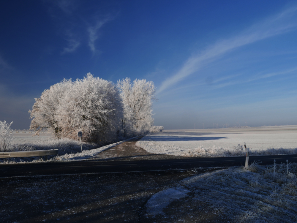 Ds Foto zeigt eine winterliche Landschaftsaufnahme unter strahlend blauem Himmel. Ein Feldweg kreuzt eine Straße, links vom Feldweg ist ein Bachlauf und dabenen sind von Reif überzogene Bäume, auf der rechten Seite sind weite Felder.