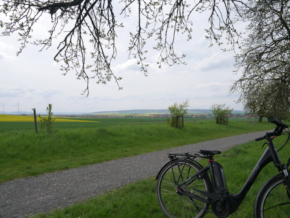 Eine Landschaftsaufnahme, die erkennbar unter Bäumen aufgenommen wurde. Am rechten Rand steht ein schwarzes Damen-Fahrrad, danach ein Feldweg, dahinter Bäume und Felder, im Hintergrund Dorf-Bebauung, Windräder und ganz hinten der Harz.