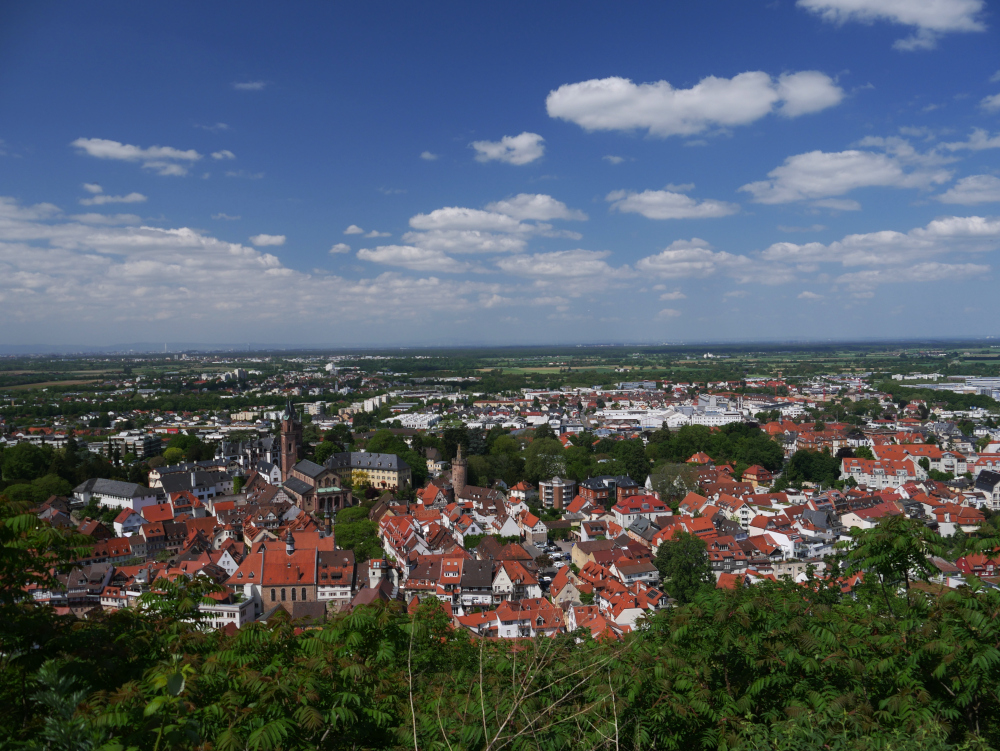 Das Foto zeigt eine Landschaftsaufnahme. Die Landschaft reicht von der Stadt Weinheim im Vordergrund bis zum Rhein, wo man die Städte Ludwigshafen und Mannheim erahnen kann. Darüber ist blauer Himmel mit weißen Wolken. Die Aufnahme ist erkennbar auf einem Berg gemacht.