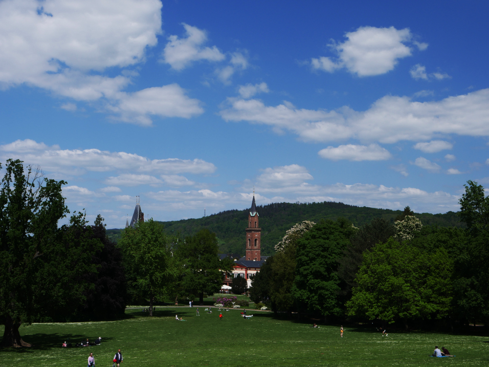 Das Foto zeigt eine Landschaftsaufnahme im Schloßpark von Weihnheim. Man sieht den Schloßturm, davor eine große WIese und im Hintergrund Berge. Über allem blauer Himmel mit weißen Wolken.