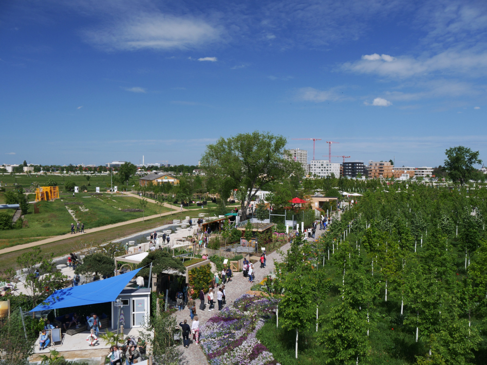 Das Foto zeigt eine Landschaftsaufnahme der BUGA23 in Mannheim. Rechts ist der Baumschulbereich, in der Mitte geht ein Streifen mit Info-Ständen durch und links beginnt das große Grasgelände. Im Hintergrund die Stadt Mannheim und darüber strahlend blauer Himmel.