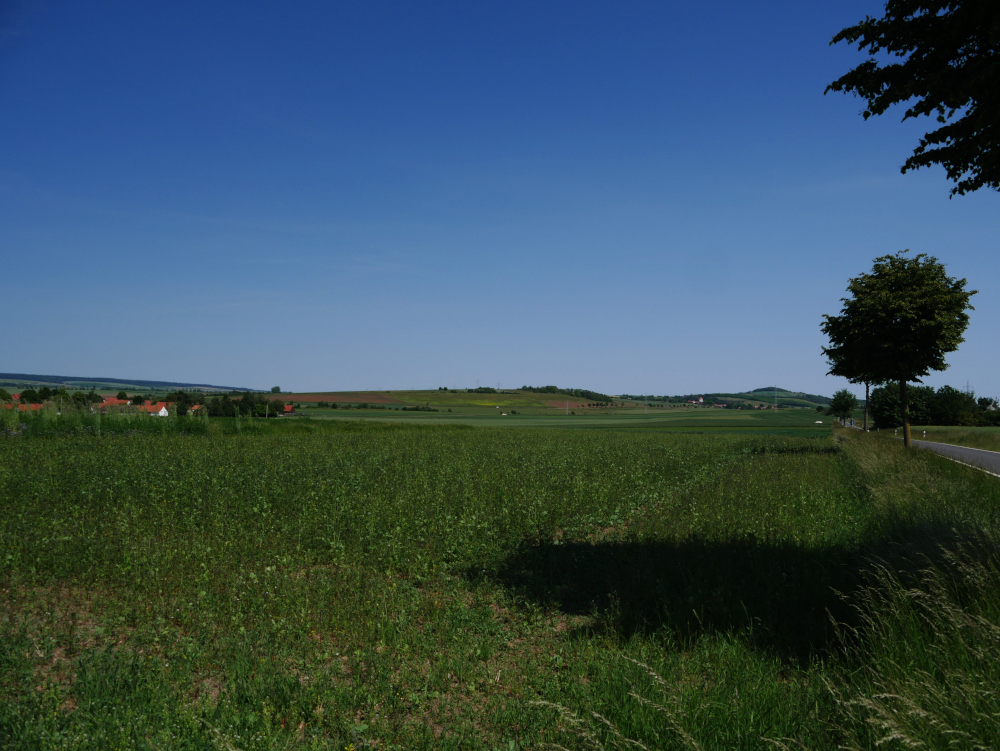 Das Foto zeigt eine Landschaftsaufnahme unter strahlend blauem Himmel. Rechts ist eine kleine Straße ohne Autos, die auf der linken Seite mit Bäumen gesäumt ist. Daneben sind saftig-grüne Felder. Links kann ein Dorf erkannt werden und am Horizont der Heeseberg.