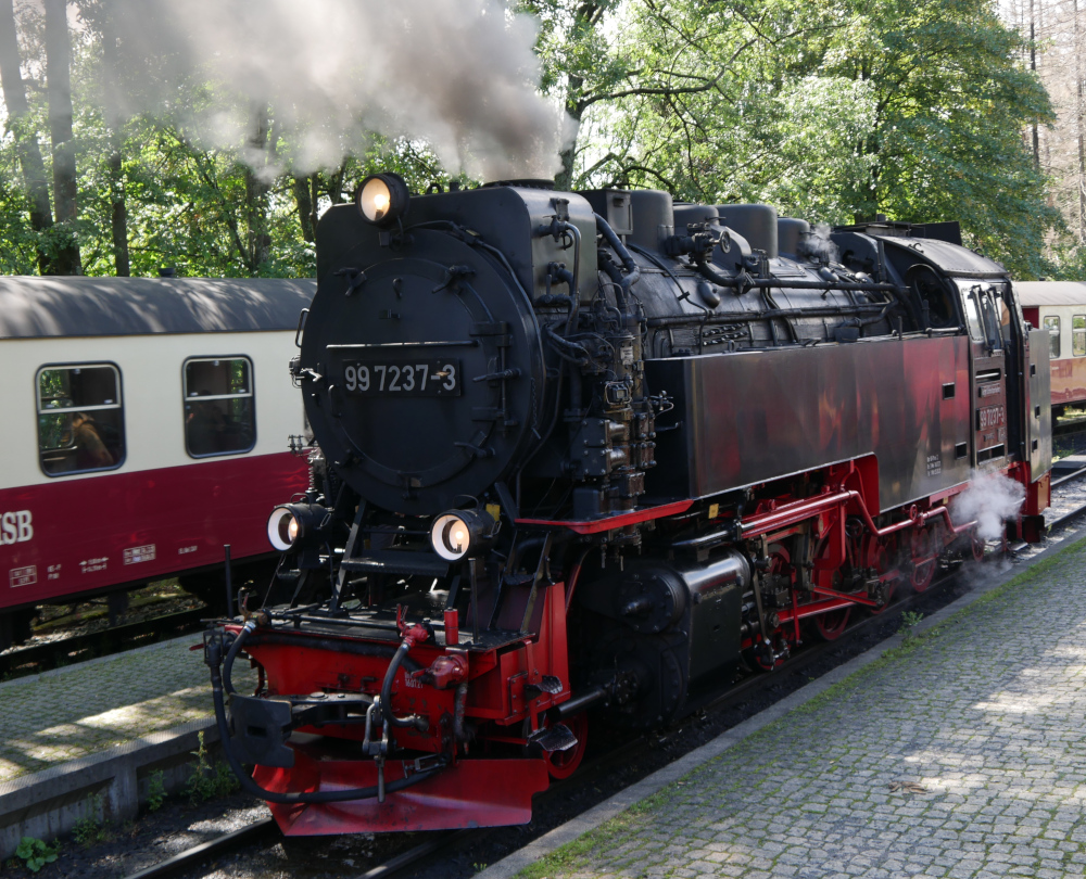 Die Dampflokomotive 99 7237-3 der Harzer Schmalspurbahnen unter Dampf an einem Bahnsteig. Im Hintergrund sind Personenwagen der Schmalspurbahn erkennbar.