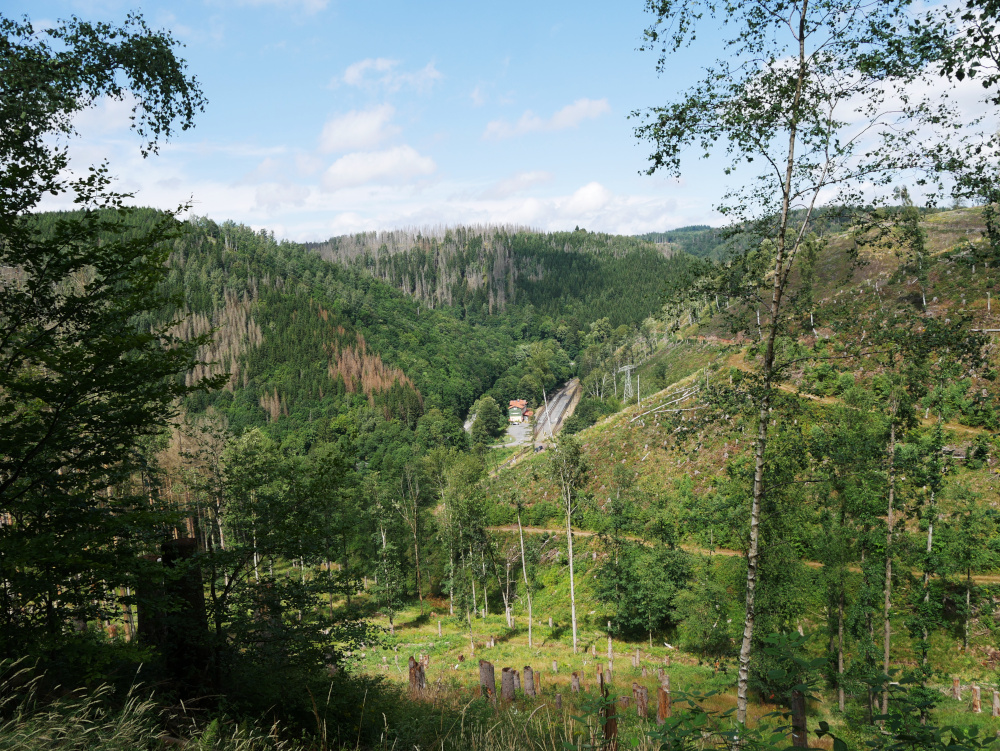 Eine Landschaftsaufnahme im Harz. Das Bild zeigt den Blick von "oben" auf das Tal mit der Bahnstation Eisfelder Talmühle der Harzer Schmalspurbahnen. Man sieht das Bahnhofsgebäude und die Gleisanlagen im Tal, daben die ansteigenden Berge. Hinten und auf der linken Seite sind die Berge bewaldet, man sieht aber, das sehr viele Bäume schon abgestorben sind.