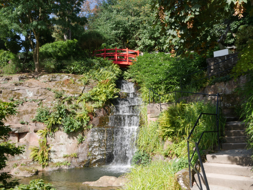 Eine Landschaftsaufnahme im japanischen Garten in Kaiserslautern. Im oberen Bereich ist eine rote Holzbrücke. Von dieser führt ein Mehrstufiger Wasserfall an einem steilen Steinabhang hinunter zu einem Teich. Rechts sind Treppen und Geländer, die nach oben führen.