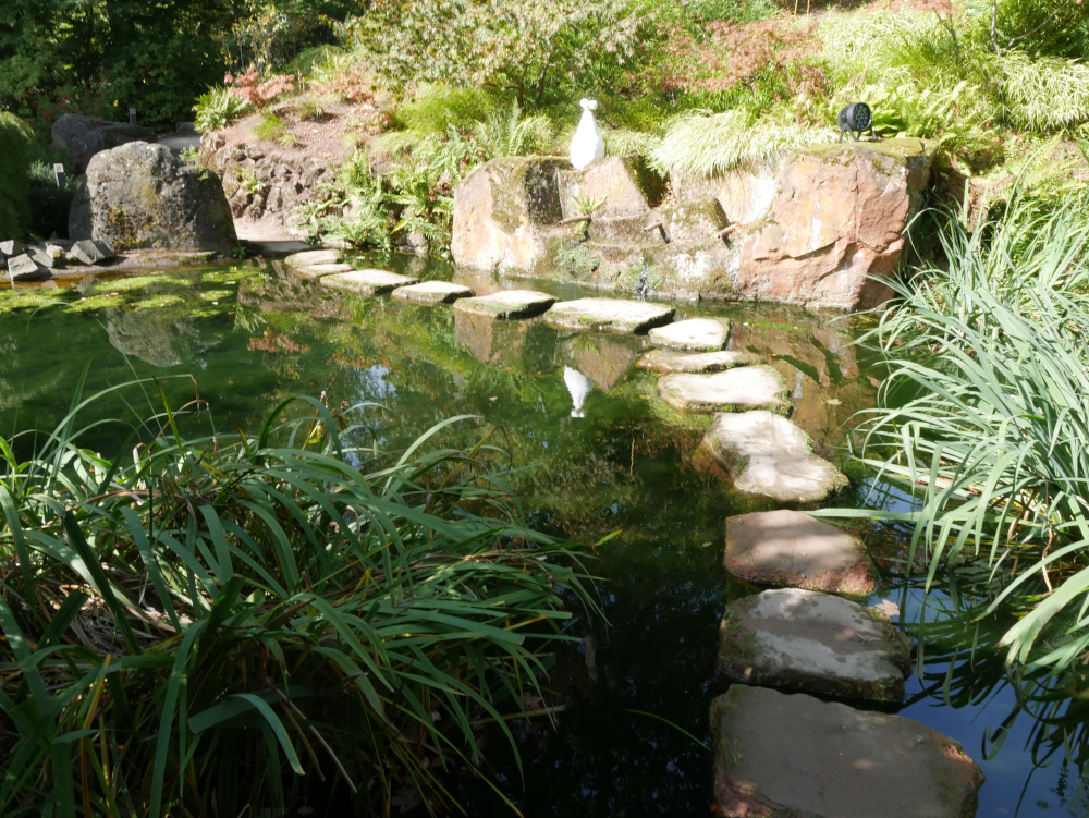 Eine Landschaftsaufnahme im japanischen Garten in Kaiserslautern. Man sieht einen Plattenweg durch einen Teich.