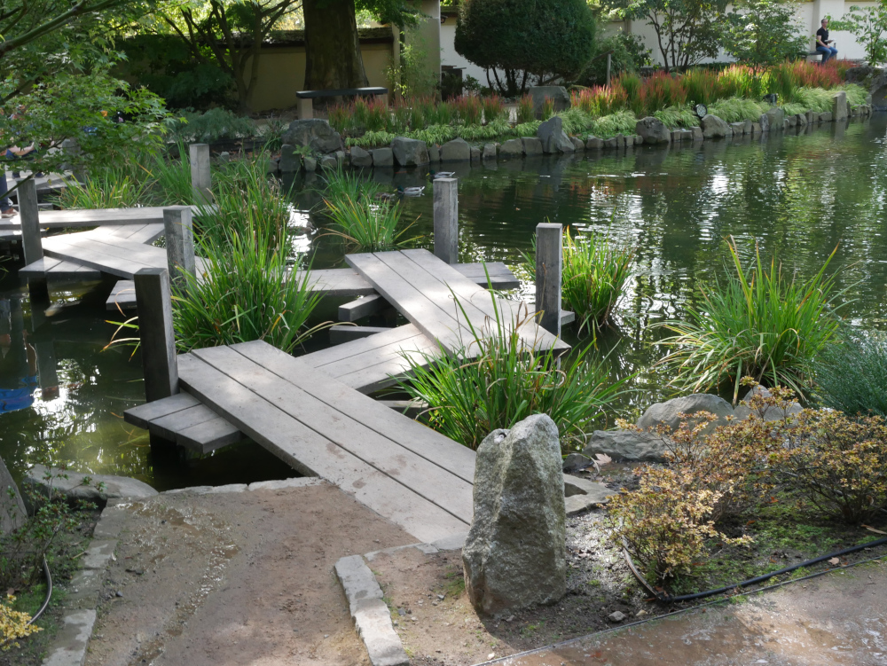 Das Foto zeigt eine verwinkelte Brücke über einen Teich im japanischen Garten von Kaiserslautern.