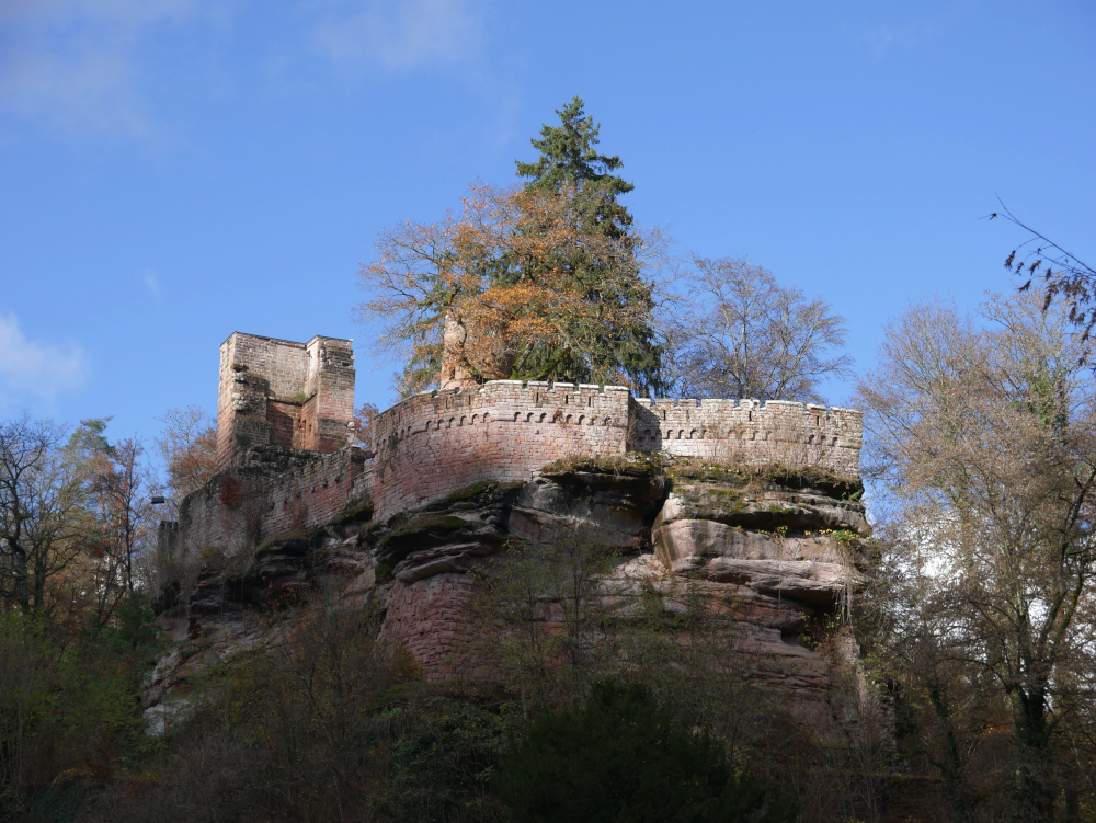 Das Foto zeigt die Ruine der Burg Diemerstein.