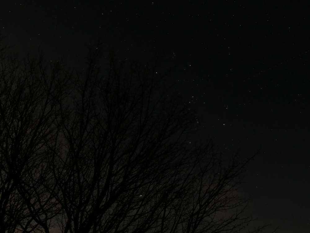Das Foto zeigt eine nächtliche Aufnahme vom Sternenhimmel. Man sieht die Sterne am dunklen Himmel, das Bild ist unter winterlich kahlen Bäumen aufgenommen, deren Geäst von unten bis fast nach oben ins Bild ragt.