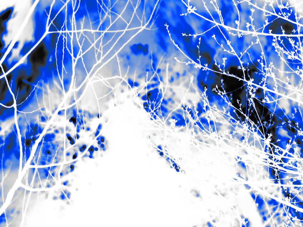 Es handelt sich bei diesem Foto um ein abstrakt bearbeitetes Bild. Man sieht weiße Äste von Bäumen und dahinter einen blau-schwarzen, völlig irrealen Hintergrund.